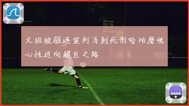 文班被驱逐宣判马刺死刑哈珀磨练心性迈向超巨之路